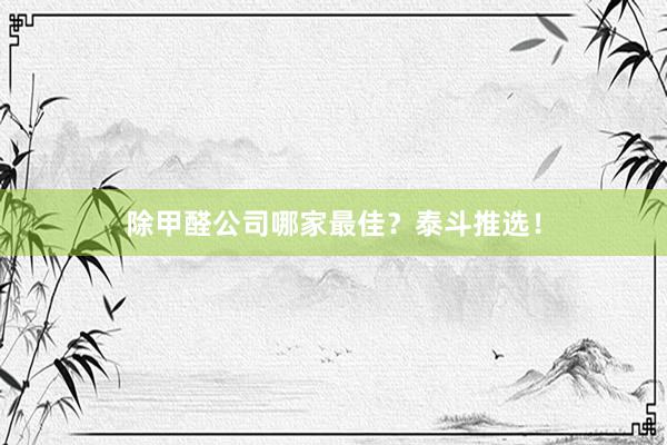 除甲醛公司哪家最佳？泰斗推选！